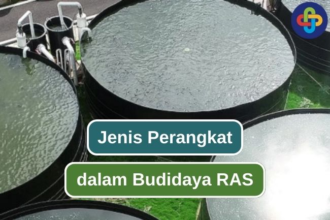 Ketahui 12 Komponen Yang Digunakan Dalam Budidaya RAS